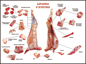 Баранина и ягнятина
